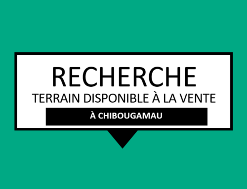 AVIS D’INTÉRÊT | Recherche de terrain disponible à la vente à Chibougamau